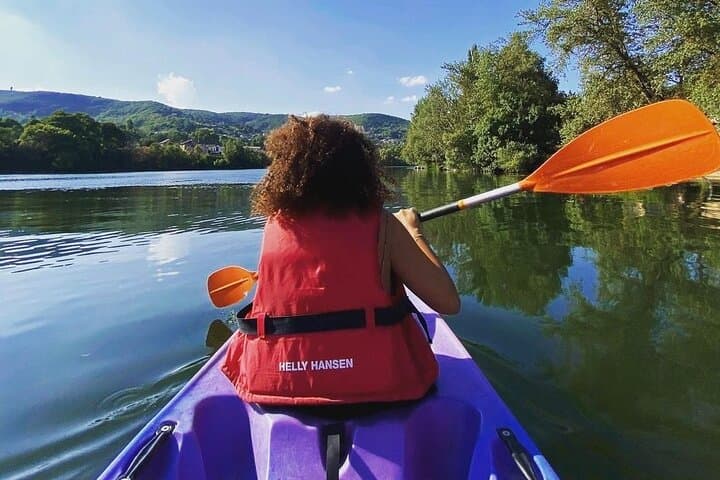 Paddling the Saône: 2-Hour Canoe Adventure from Rochetaillée photo 4