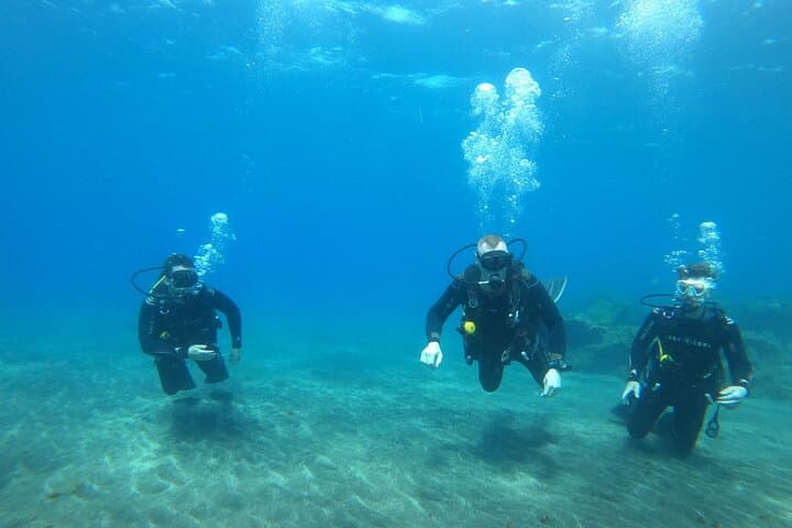 Discover Scuba in South Tenerife: 3-Hour Beginner Dive from Adeje photo 3