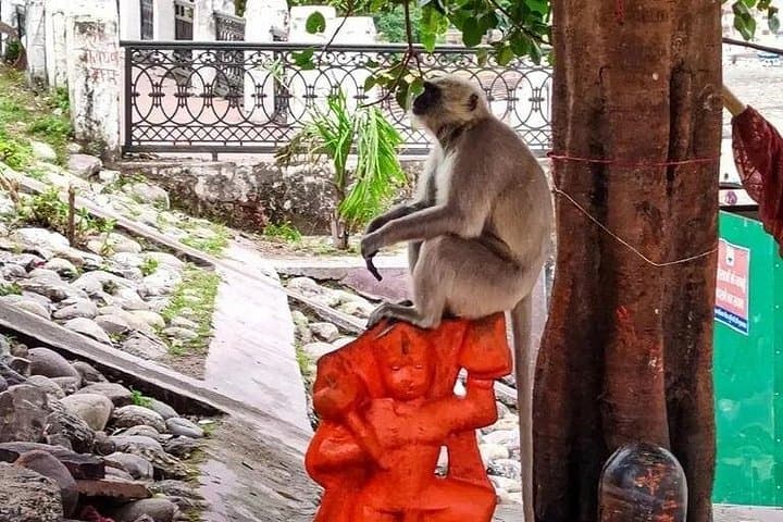 Rishikesh White-Water & Spiritual Retreat: 2-Day Private Tour From Delhi photo 3