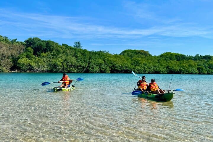 Tamarindo Mangrove Kayak: Blue Water River Tour in Las Baulas National Park photo 3