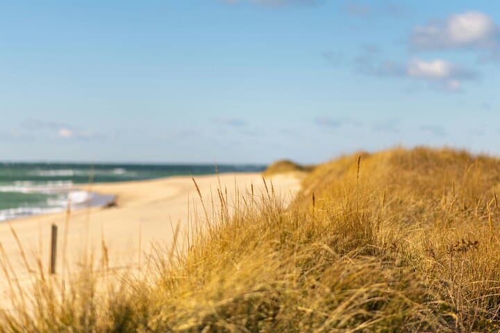 Nantucket Coast-to-Coast: Self-Guided Biking & Driving Tour Across the Island photo 6