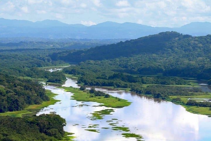 Gatun Lake Boat Adventure from Panama City: Monkey Islands & Biodiversity Cruise photo 4