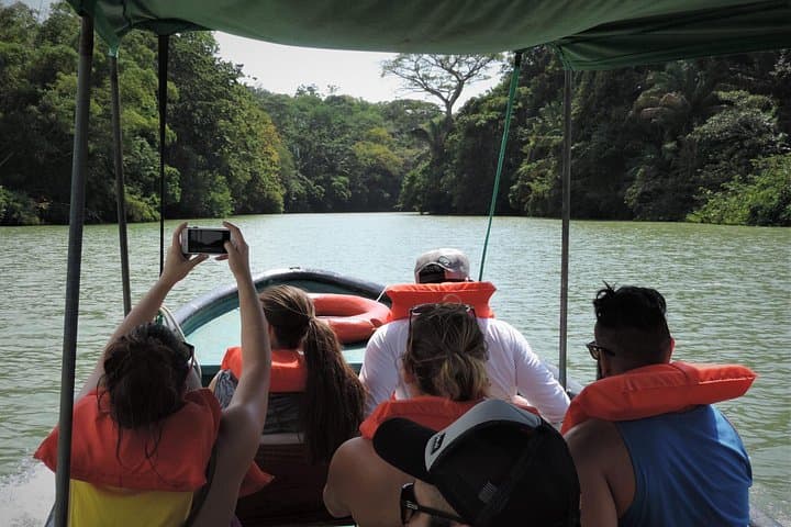 Gatun Lake Boat Adventure from Panama City: Monkey Islands & Biodiversity Cruise photo 3