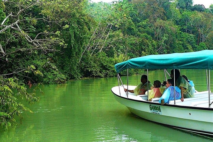 Gatun Lake Boat Adventure from Panama City: Monkey Islands & Biodiversity Cruise
