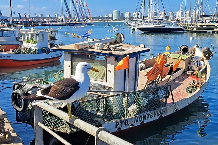 Private Punta del Este Shore & City Tour: Casapueblo, Beaches, and La Barra photo 1