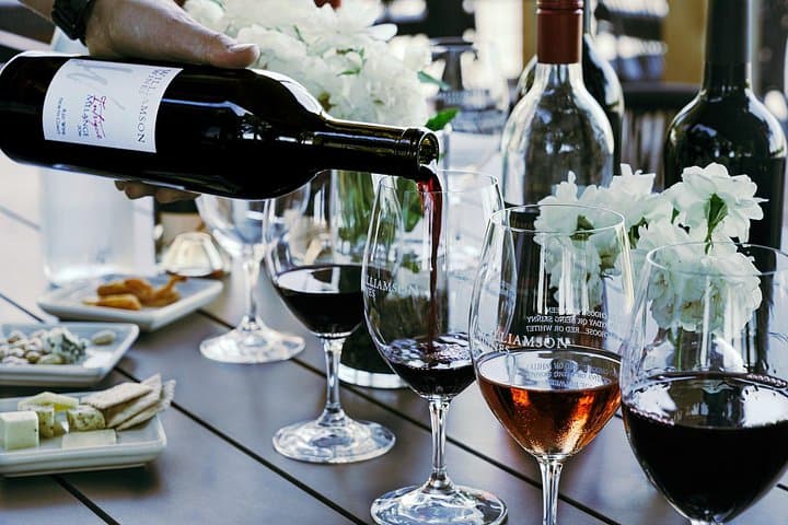 Healdsburg Wine & Food Pairing at Williamson Wines — 5 Tastes, Artisan Bites photo 2