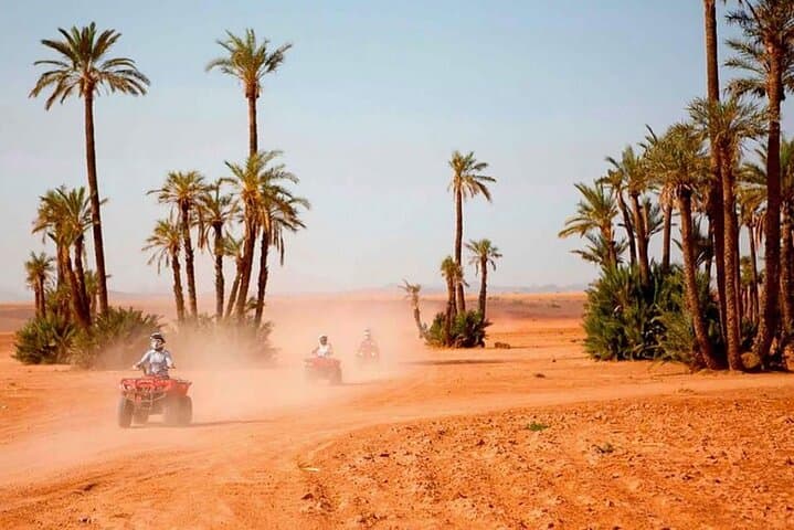 Marrakech Quad Bike and 20-Minute Camel Ride in the Jbilets Desert photo 4