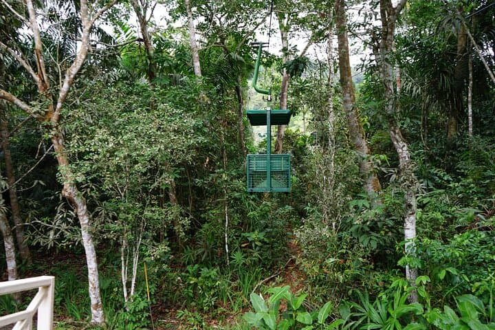 Gamboa Aerial Tram & Sloth Encounter — Panama Rainforest Canopy Tour photo 2