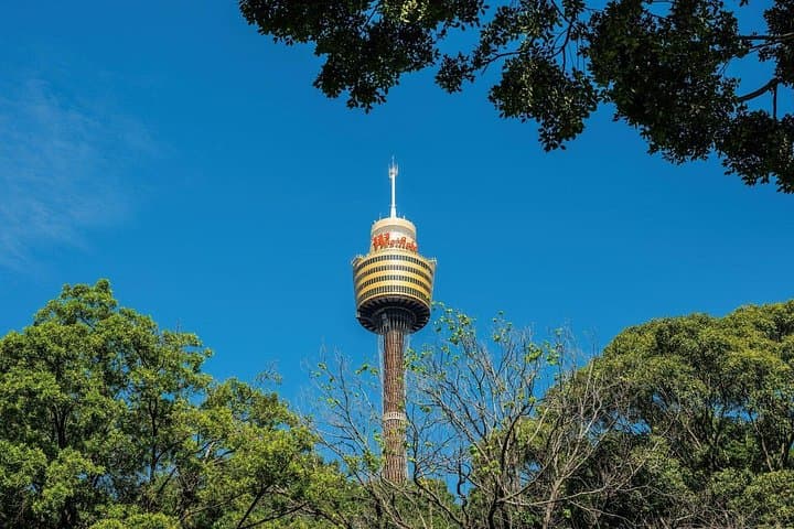 Sydney’s Secrets: Family Walking Adventure Through Hyde Park, Art Gallery & Botanic Garden photo 4