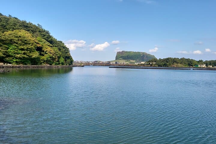 Jeju Overcoming Hardships Private Tour — Seongsan, O'sulloc & Cultural Highlights photo 3