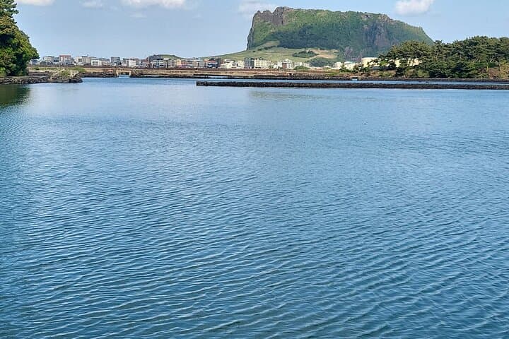 Jeju Overcoming Hardships Private Tour — Seongsan, O'sulloc & Cultural Highlights photo 4