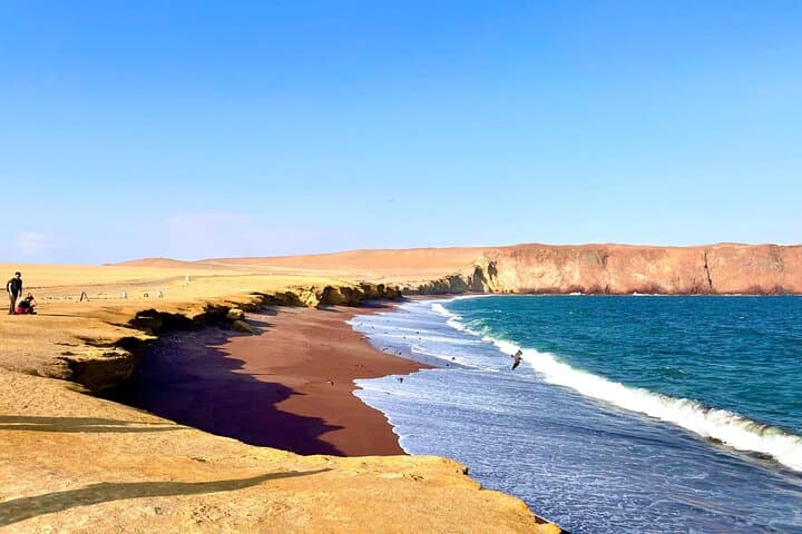 Paracas National Reserve Bus Tour: Beaches, Red Sands & Coastal Wildlife photo 2