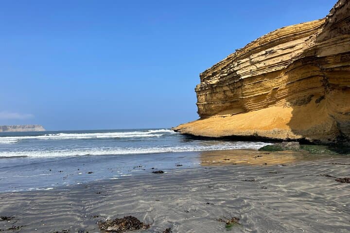 Paracas National Reserve Bus Tour: Beaches, Red Sands & Coastal Wildlife photo 3