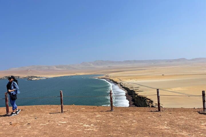 Paracas National Reserve Bus Tour: Beaches, Red Sands & Coastal Wildlife photo 4