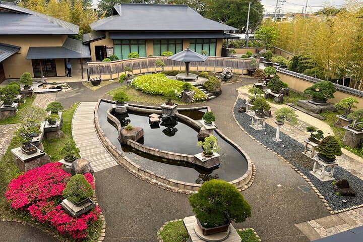 Private Omiya Bonsai Village Walking Tour: Explore Japan’s Bonsai Heritage