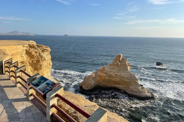 Paracas National Reserve Bus Tour: Beaches, Red Sands & Coastal Wildlife photo 6