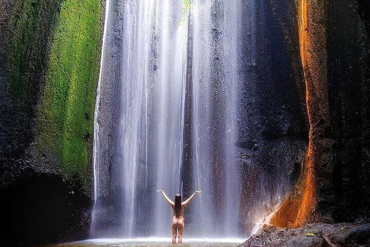 Ubud Waterfalls, Tegalalang Rice Terraces & Monkey Forest Day Tour photo 5