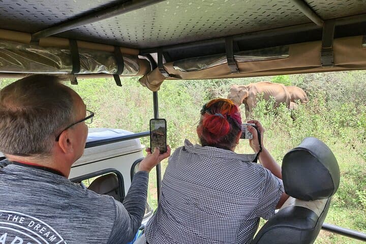 Udawalawe Elephant Safari & Elephant Transit Home — Full-Day Wildlife Tour from Hambantota photo 6