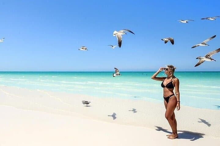 Holbox Day Trip from Playa del Carmen: Boat Tour, Yalahau Cenote & Punta Mosquito photo 3