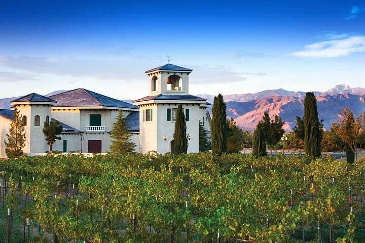 Scenic Wine Tasting Tour from Las Vegas to Pahrump — Wineries, Charcuterie & Desert Views