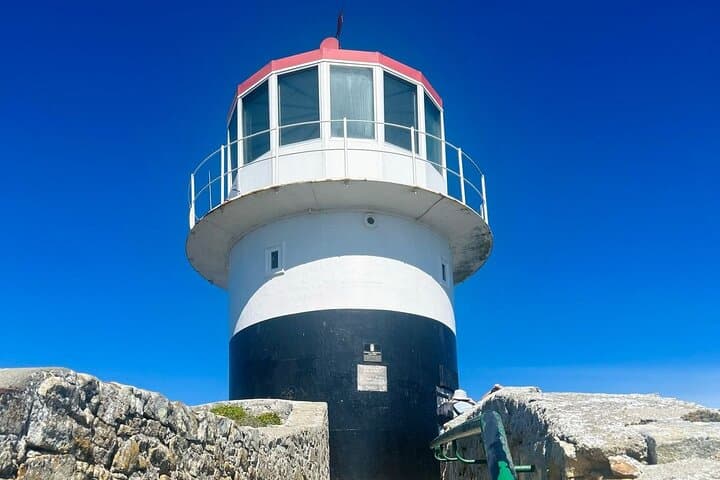 Half-Day Cape of Good Hope & Boulders Penguin Tour from Cape Town photo 2