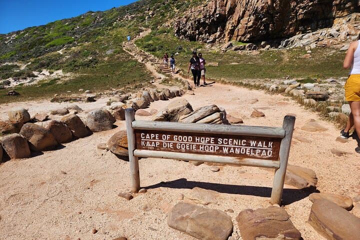 Half-Day Cape of Good Hope & Boulders Penguin Tour from Cape Town photo 3
