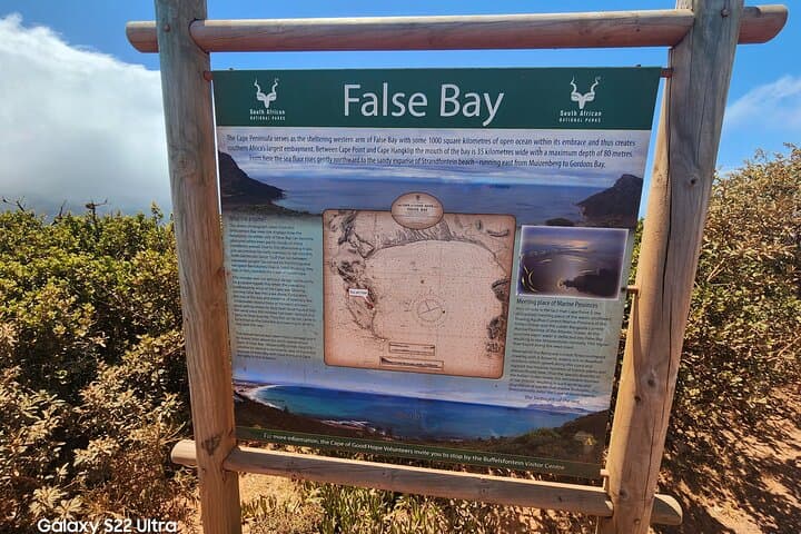 Half-Day Cape of Good Hope & Boulders Penguin Tour from Cape Town photo 4