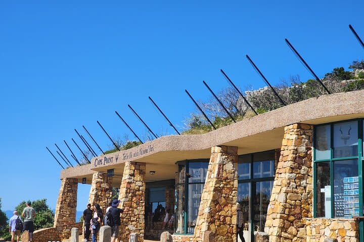 Half-Day Cape of Good Hope & Boulders Penguin Tour from Cape Town photo 5