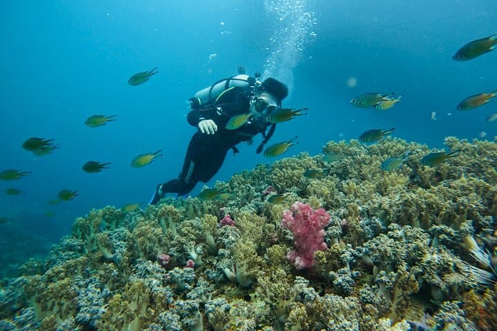 Nha Trang Survival Island Scuba: Introductory Dive & Speedboat Adventure