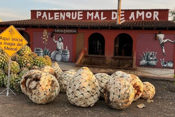 Santiago Matatlán Mezcal Tour: Agave Fields & Distillery Experience