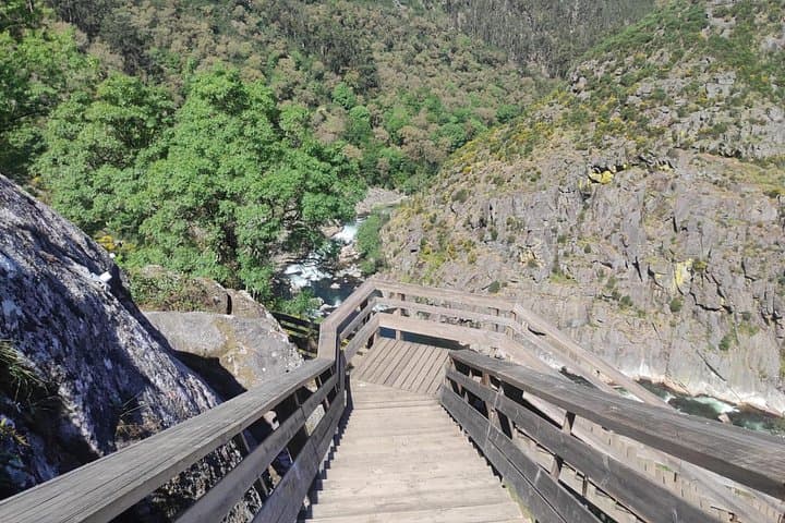 Paiva Walkways, 516 Arouca Suspension Bridge & Aveiro Moliceiro Cruise — Day Trip from Porto photo 3