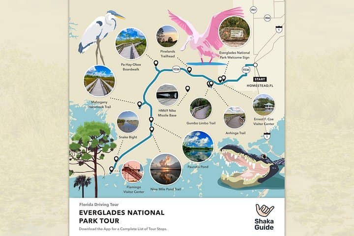 Everglades Self-Guided Audio Tour: Drive the River of Grass with Shaka Guide photo 4
