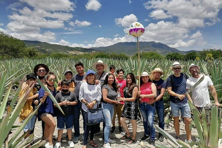 Santiago Matatlán Mezcal Tour: Agave Fields & Distillery Experience photo 2