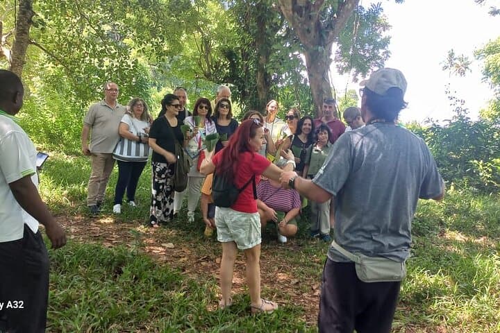 Jozani Forest and Spice Farm Private Tour — Explore Zanzibar’s Red Colobus and Spices photo 1