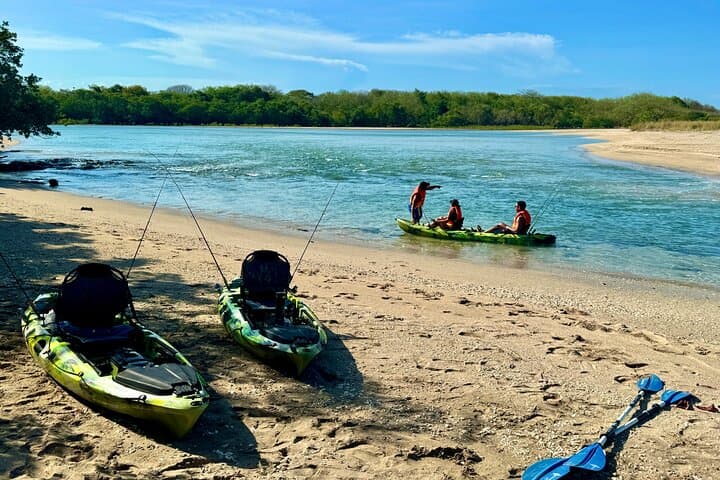 Tamarindo Mangrove Kayak: Blue Water River Tour in Las Baulas National Park photo 5