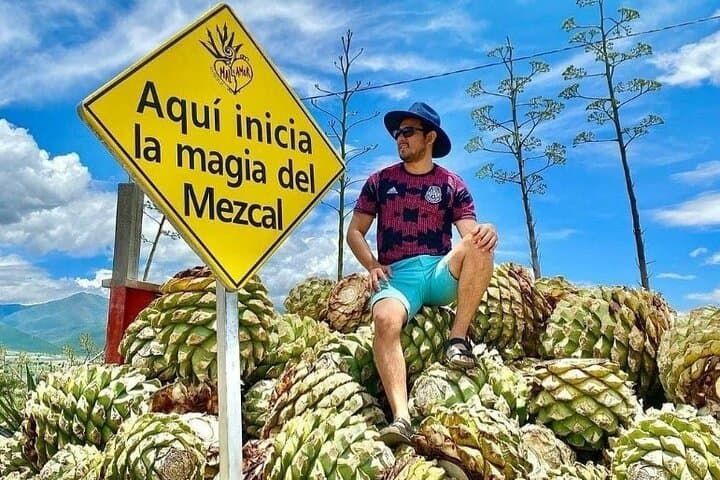 Santiago Matatlán Mezcal Tour: Agave Fields & Distillery Experience photo 5