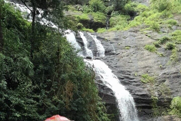 Kochi to Munnar Day Tour — Tea Gardens, Waterfalls & Echo Point photo 6