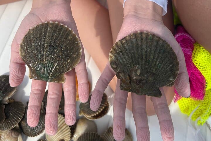 Private Scallop Charter in Crystal River — Gulf Scalloping & Springs Swim
