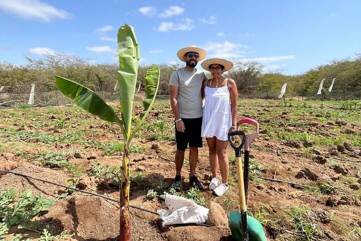 Cabrer Journey: Live a Day Like a Local on Boa Vista photo 3