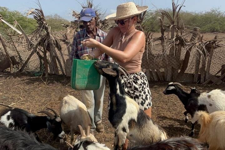 Cabrer Journey: Live a Day Like a Local on Boa Vista photo 5