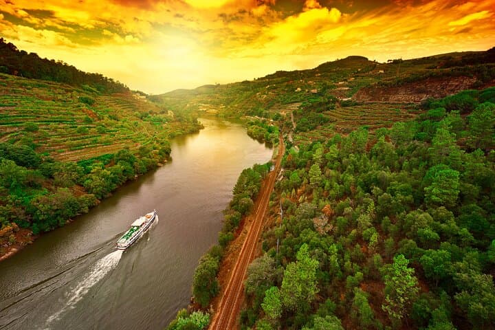 Douro Valley Private Guided Tour with Lunch: Quintas, Boat Ride & Port Tasting photo 6