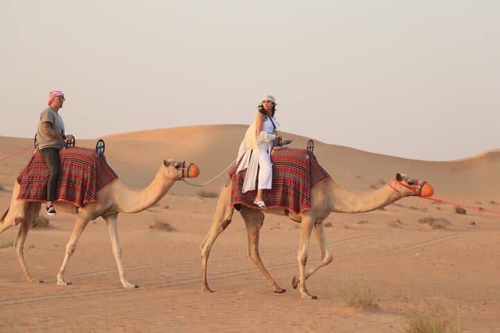 Dubai Desert Buggy Safari with BBQ Dinner & Live Shows photo 4
