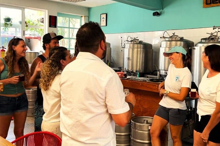 Cozumel Brew Tour: Punta Sur Brewery Tasting & Downtown Walk photo 4