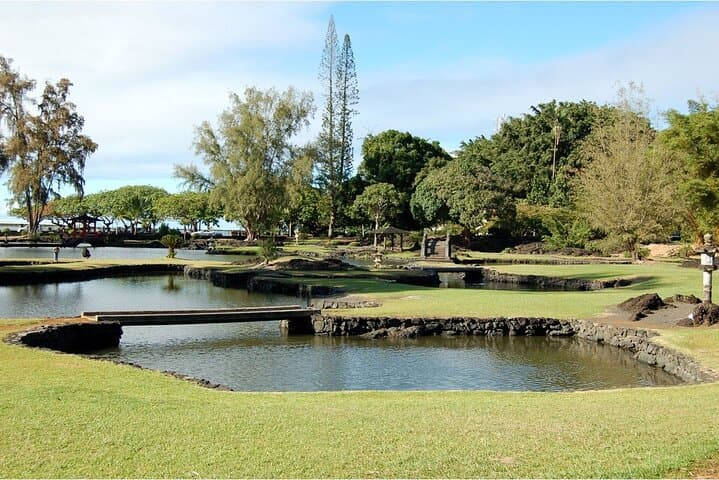 Exploring Hilo’s Waterfalls and Gardens: A Big Island Shore Excursion