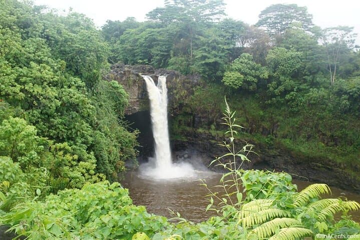 Exploring Hilo’s Waterfalls and Gardens: A Big Island Shore Excursion photo 2