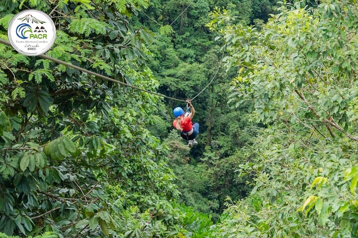 7-Cable Zipline Canopy Tour Over La Fortuna Waterfall — Arenal Canopy Adventure photo 4