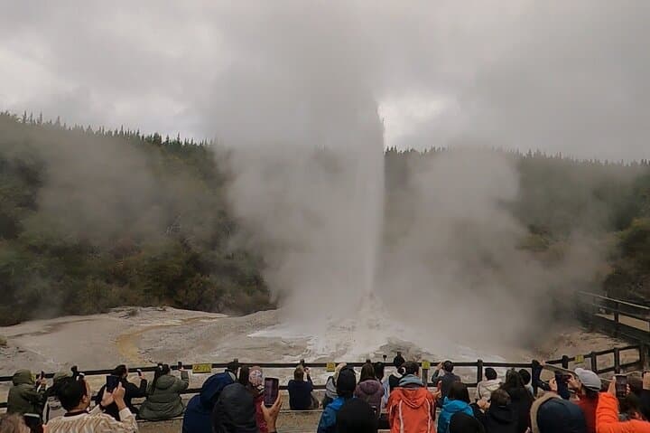 Wai-O-Tapu Thermal Wonderland Half‑Day Tour from Rotorua — Champagne Pool & Lady Knox photo 4