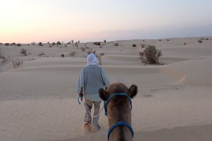 Overnight Sahara Bivouac: Camel Trek & Desert Camp near Douz