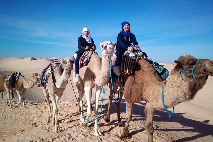 Overnight Sahara Bivouac: Camel Trek & Desert Camp near Douz photo 5