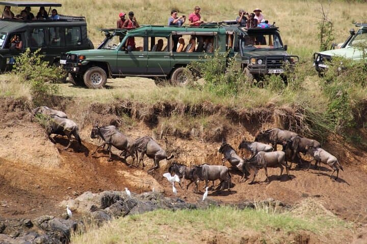 4-Day Masai Mara & Lake Nakuru Jeep Camping Safari: Big Five, Flamingos & Maasai Culture photo 6